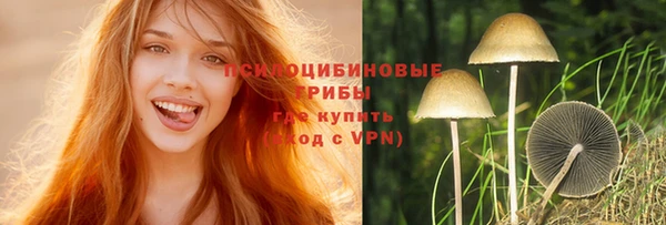 СК Сосновоборск