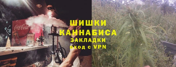 соль ск Сосновка