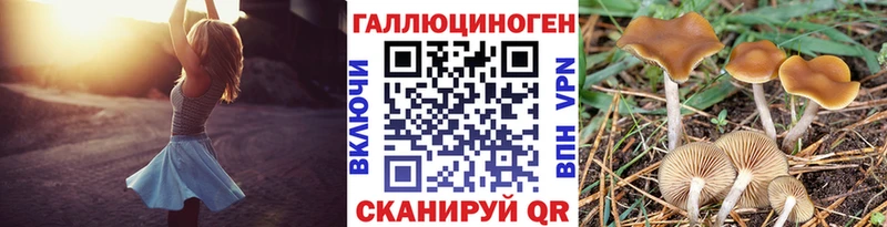 Галлюциногенные грибы GOLDEN TEACHER  Купить где  Покровск 